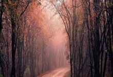 16个宝藏工具网站，全部免费！