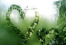 15个宝藏工具网站，全部免费！