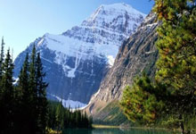 15个宝藏工具网站，全部免费！