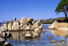 15个宝藏工具网站，全部免费！