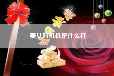 美女的机机是什么样