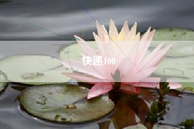 快递100