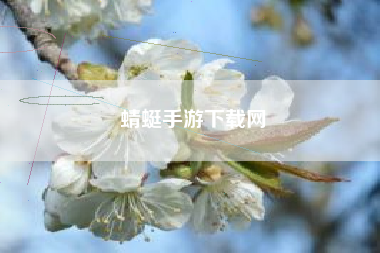 蜻蜓手游下载网