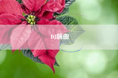 DJ嗨曲