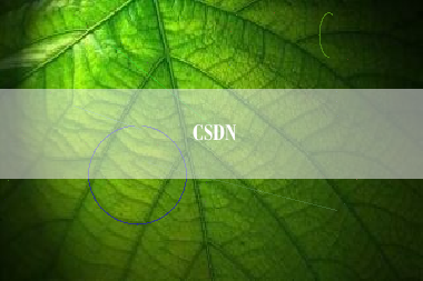 CSDN