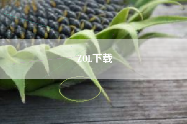 ZOL下载