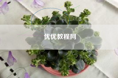 优优教程网