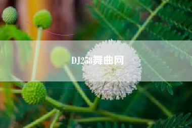 DJ258舞曲网