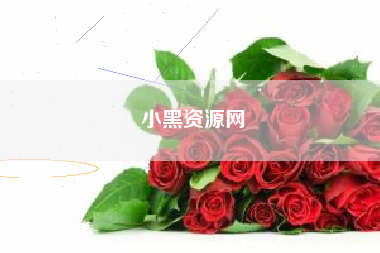 小黑资源网