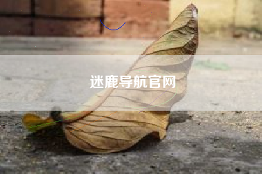 迷鹿导航官网