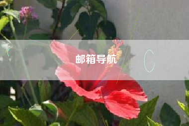 邮箱导航