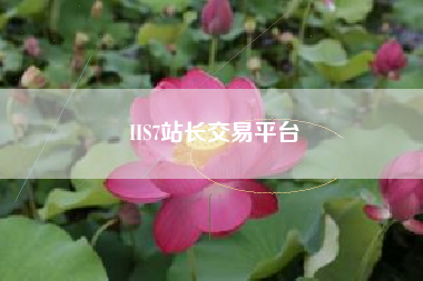 IIS7站长交易平台