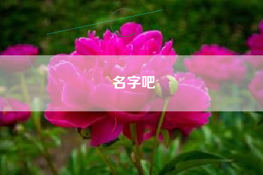 名字吧