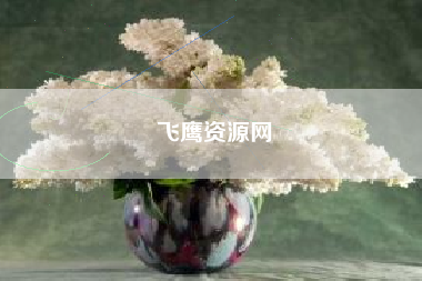 飞鹰资源网