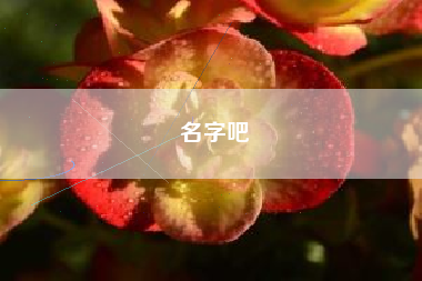 名字吧