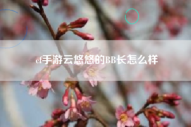 cf手游云悠悠的BB长怎么样