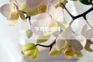 字母影视网