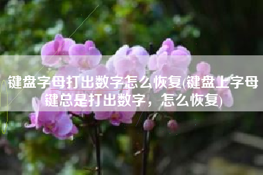 键盘字母打出数字怎么恢复(键盘上字母键总是打出数字，怎么恢复)