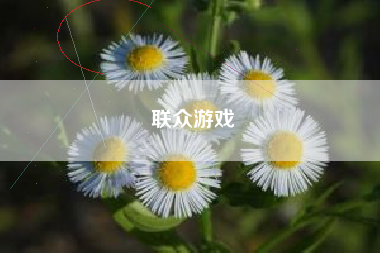 联众游戏