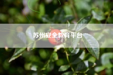 苏州安全教育平台