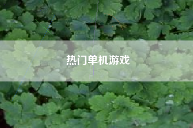 热门单机游戏