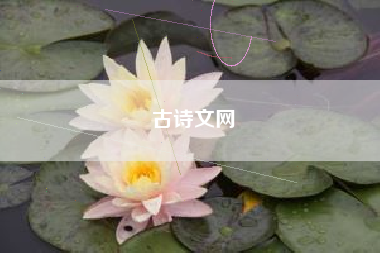 古诗文网