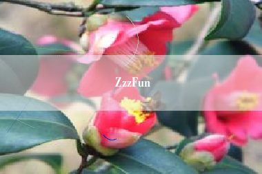 ZzzFun