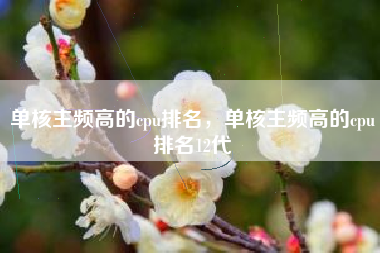 单核主频高的cpu排名，单核主频高的cpu排名12代