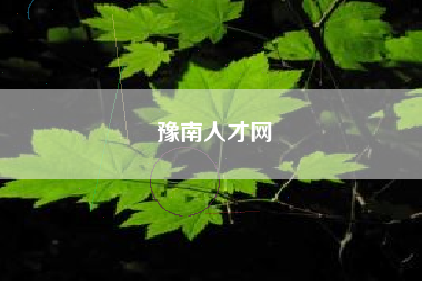 豫南人才网