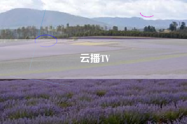 云播TV