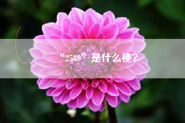 “2580”是什么梗？