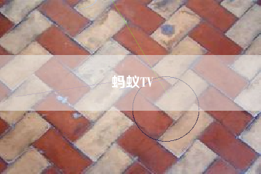 蚂蚁TV