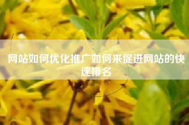 网站如何优化推广如何来促进网站的快速排名