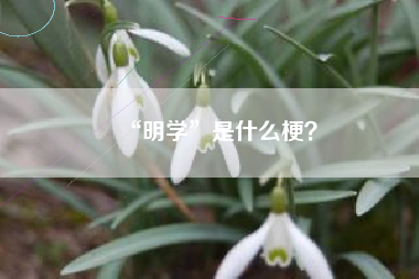 “明学”是什么梗？