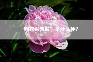 “朔花香芳僻”是什么梗？