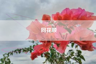 同花顺