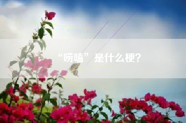 “唠嗑”是什么梗？