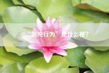 “剑纯行为”是什么梗？