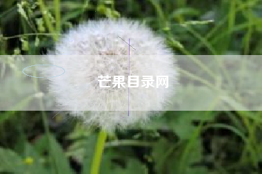 芒果目录网