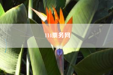 114票务网