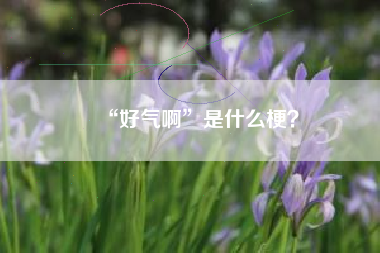 “好气啊”是什么梗？