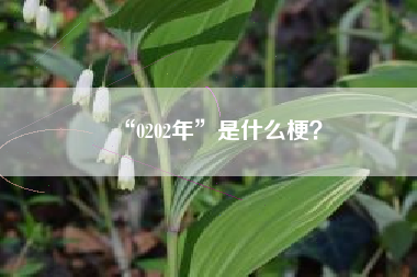 “0202年”是什么梗？