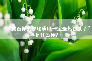 “我看你的小脑袋瓜一定是热昏头了”是什么梗？