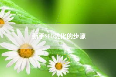 新手SEO优化的步骤