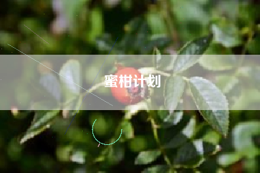 蜜柑计划