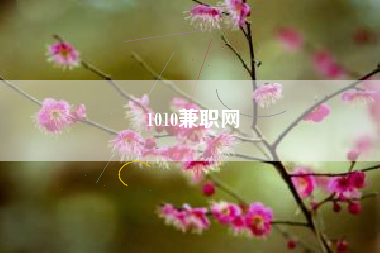 1010兼职网