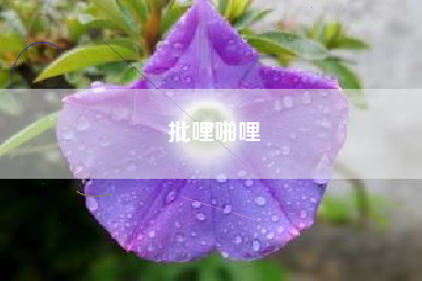 批哩啪哩