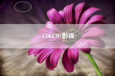 COKEMV影视