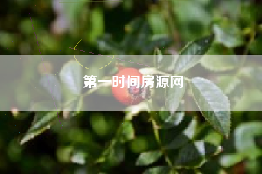 第一时间房源网