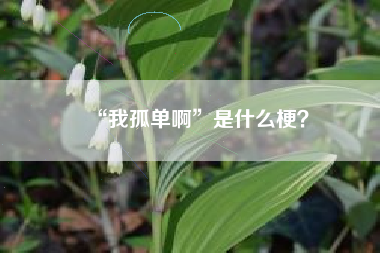 “我孤单啊”是什么梗？